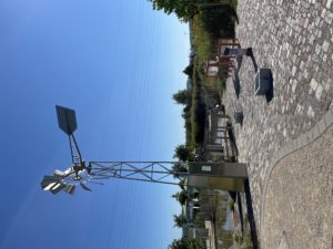 IMG_0941