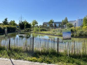 IMG_0944